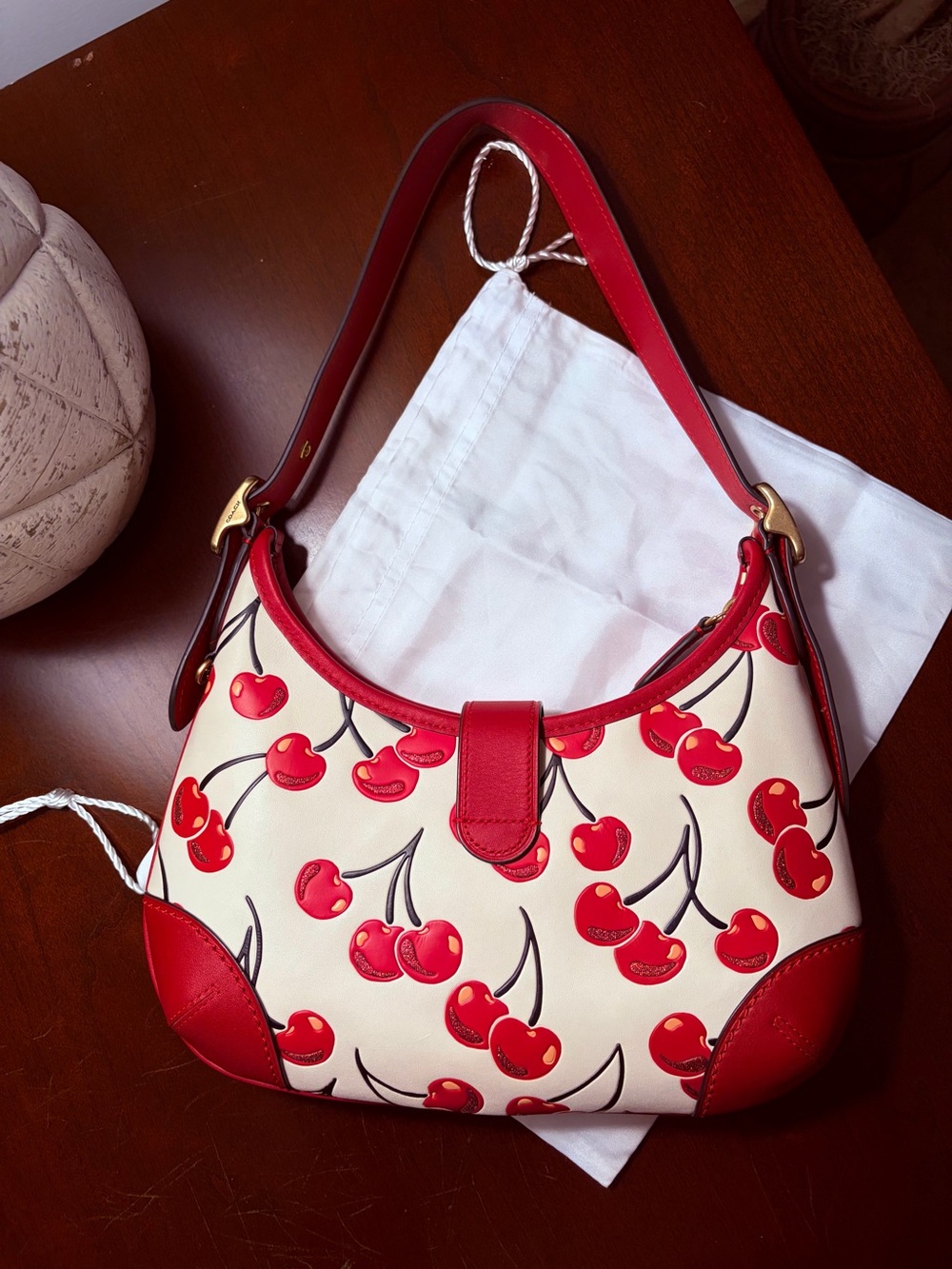 Coach Cherry Print Hampton Hobo Bag - Picture 3 of 14